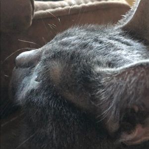 Meet your Posher, Salina